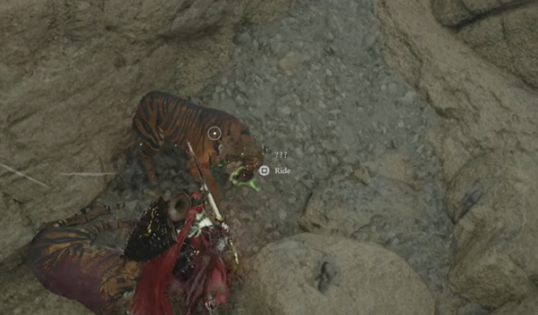 How to Tame the Tiger