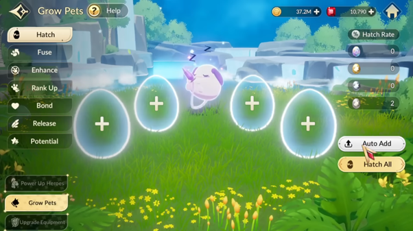 Hatch Pets