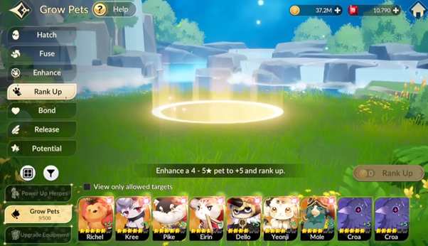 Rank Up Pets