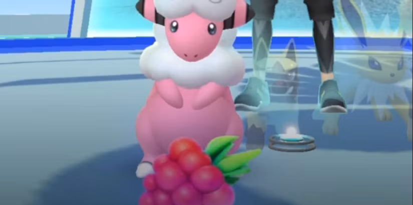 Feed Pok&eacute;mon at the Gym