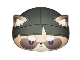 Ronin Raccoonie