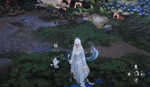Level Up Bond with Pets