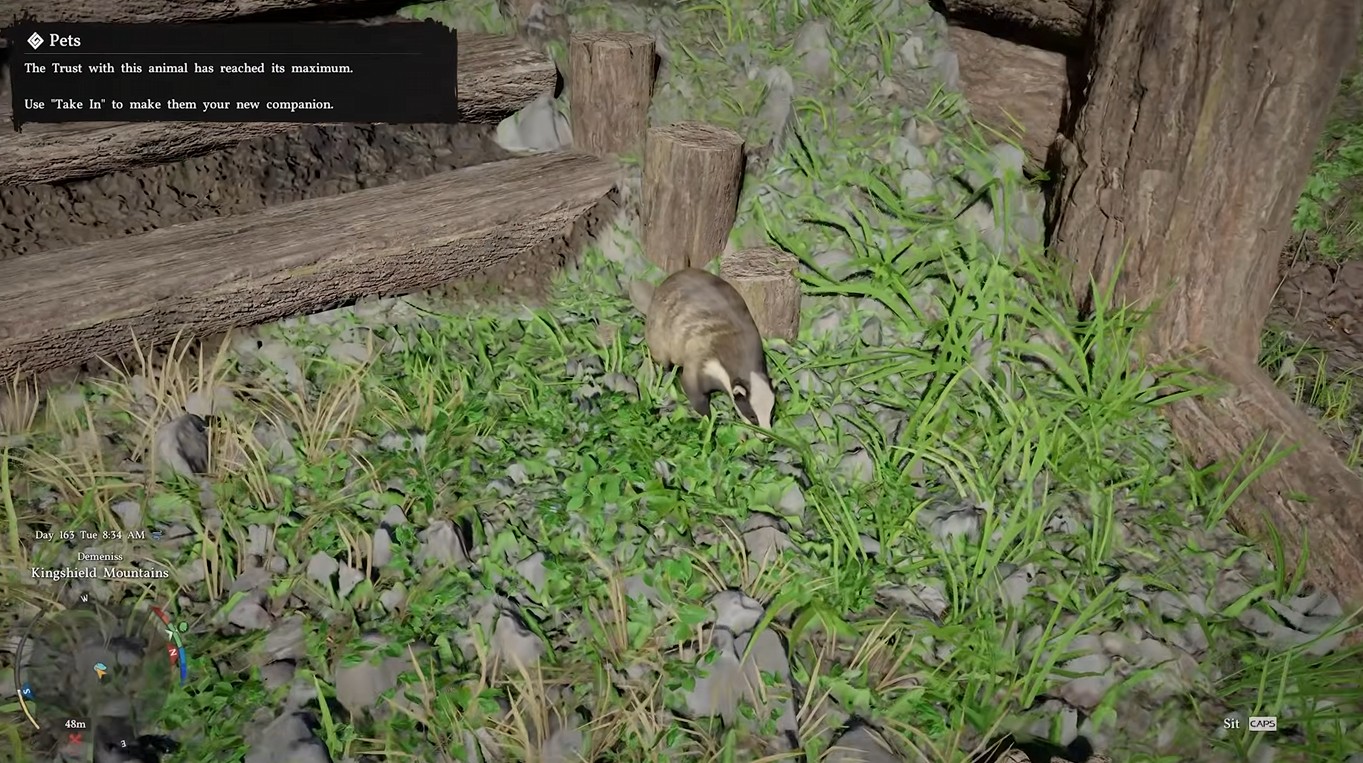 new Crimson Desert pETS