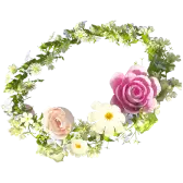 TikTok Garland Gift