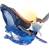 tiktok-seal-and-whale
