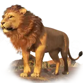 tiktok-lion