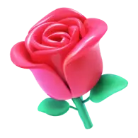 tiktok rose
