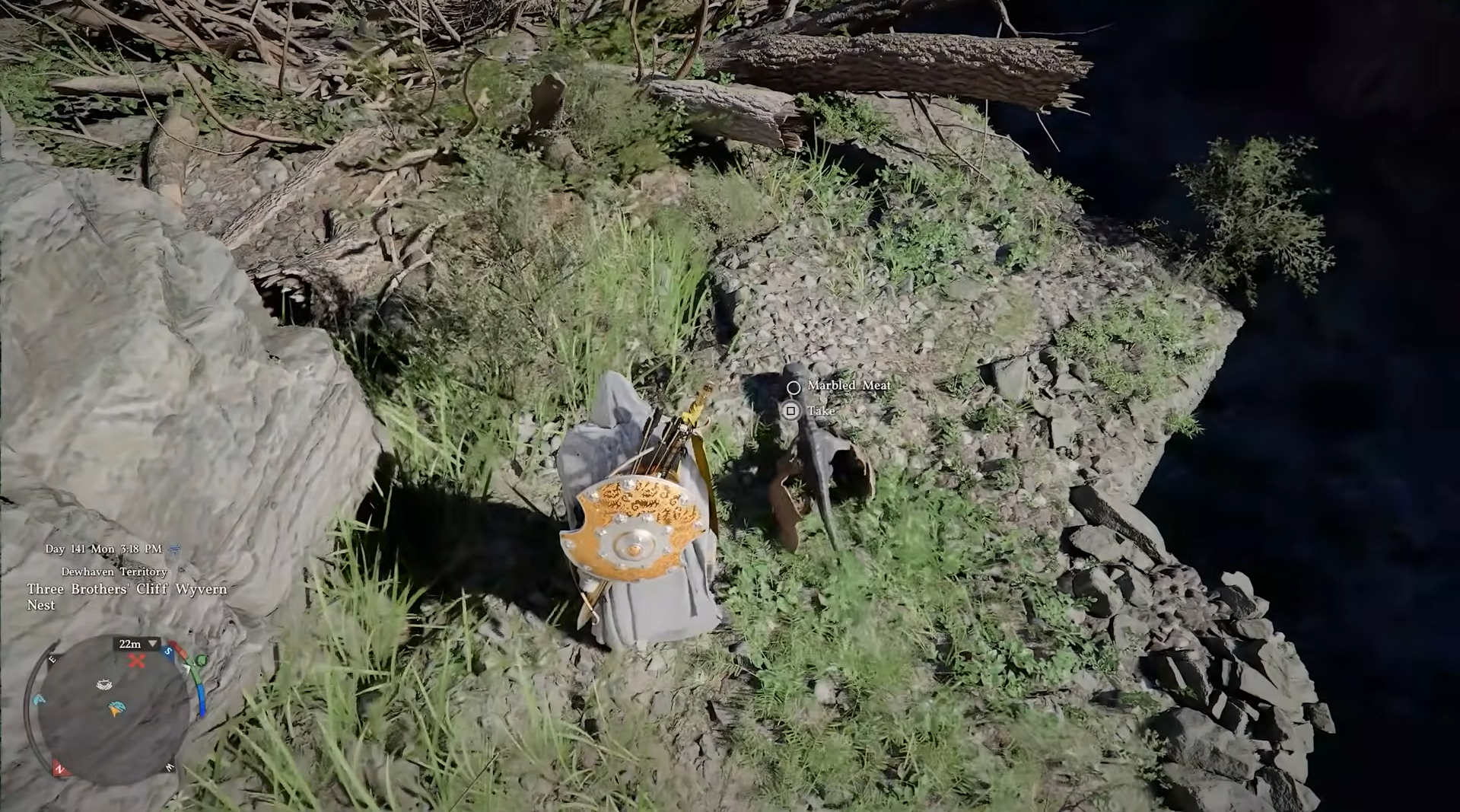 Feeding the Baby Wyvern