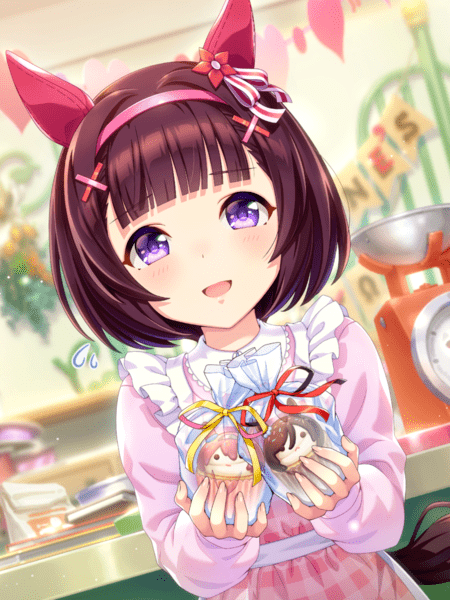 nishino flower ssr wit