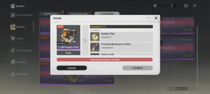 Wuwa Level up Bundles