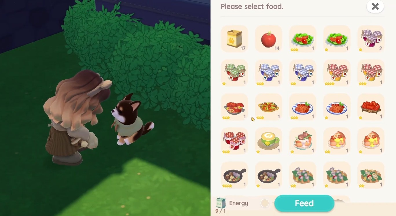 Heartopia Favorite dog food