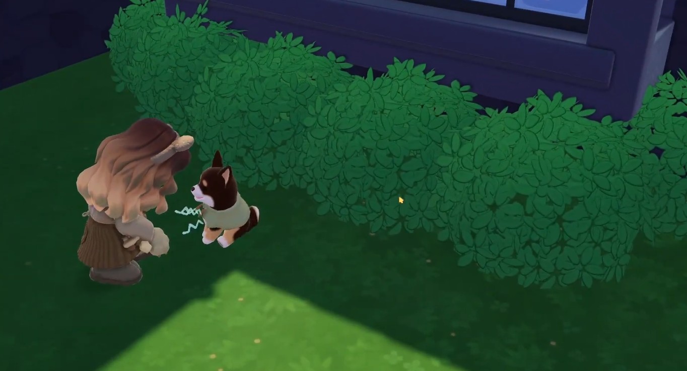 Feeding Dogs Food Heartopia