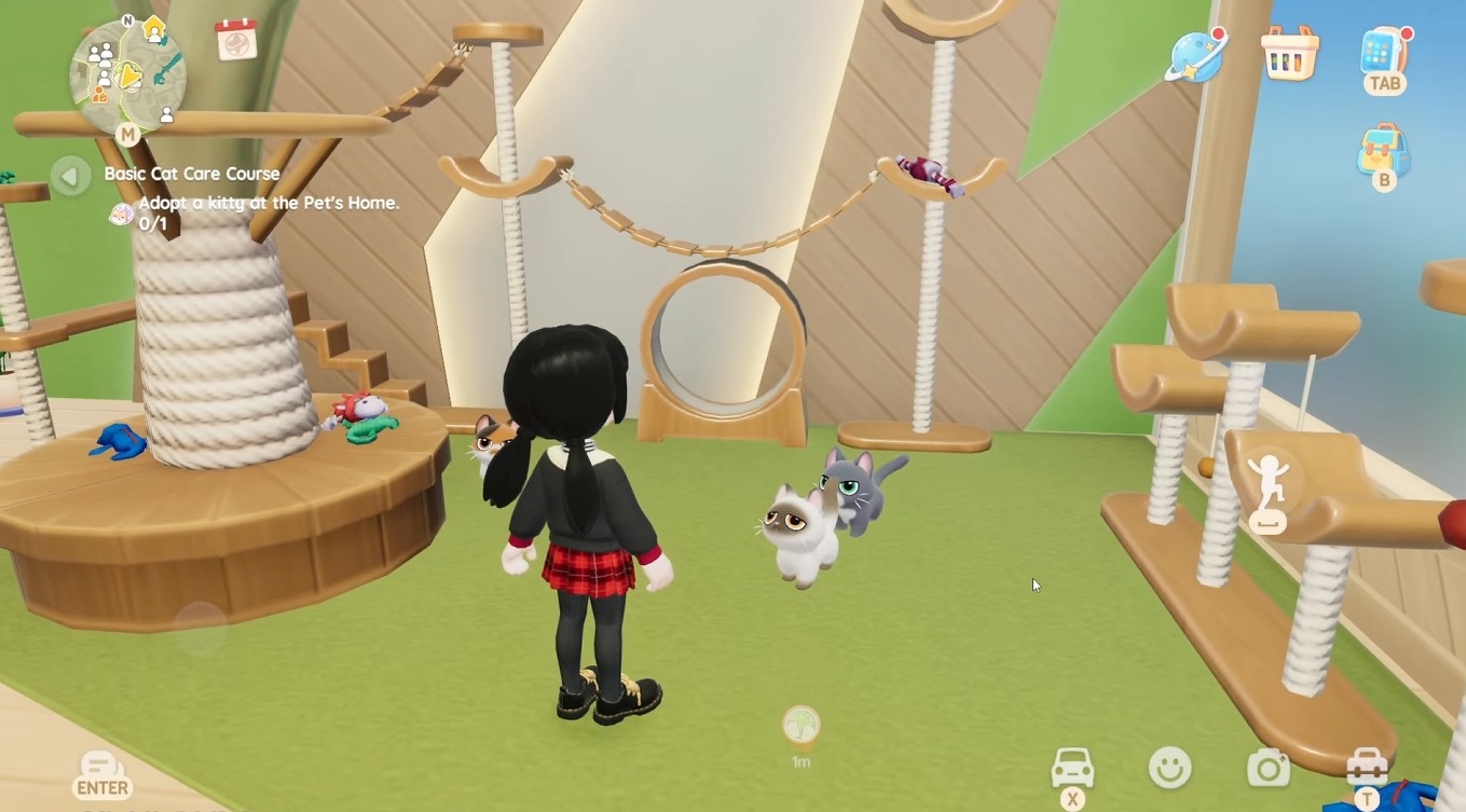 Adopting Your First Pet from Mrs. Joan's Shop