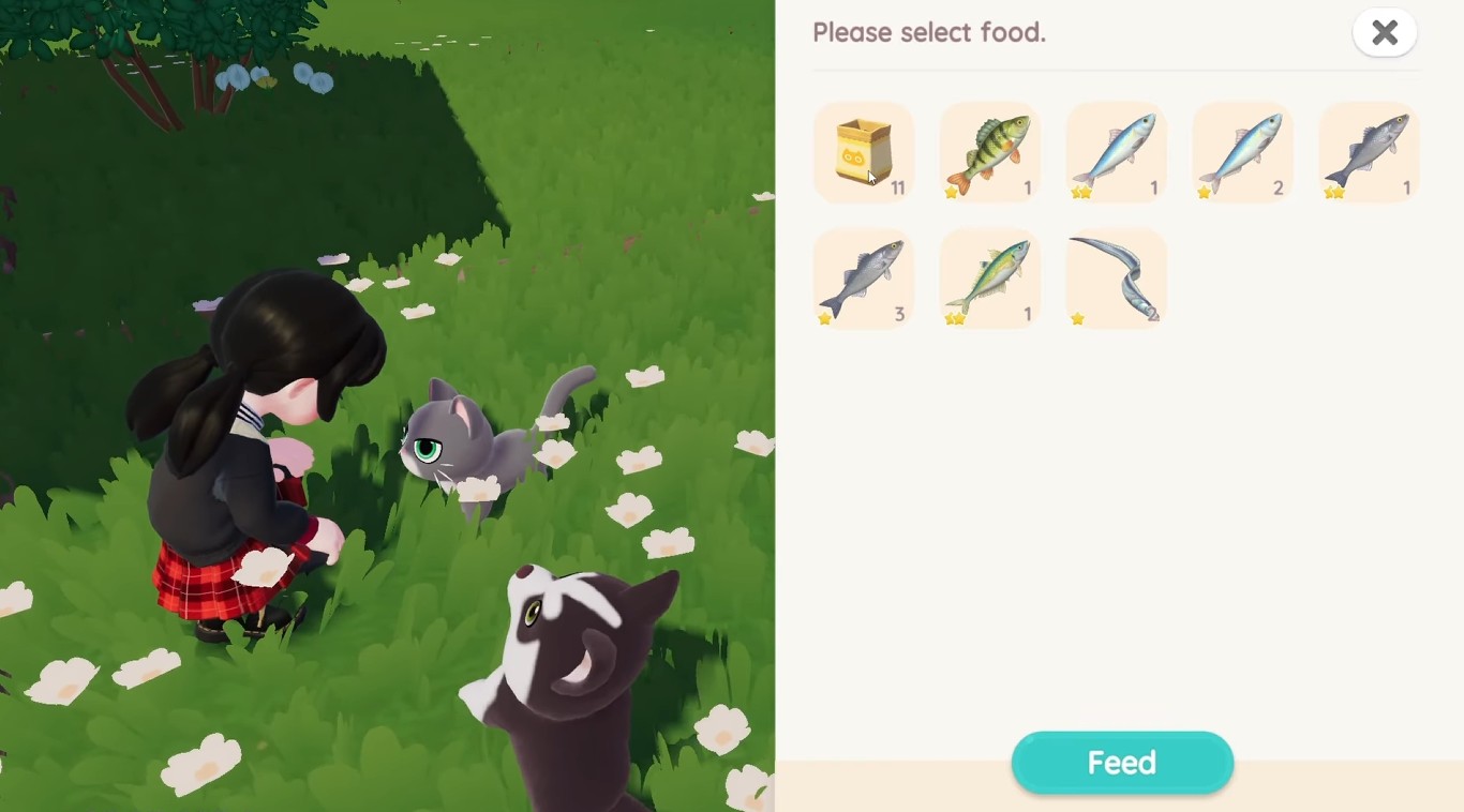 Leveling Up Pets Heartopia