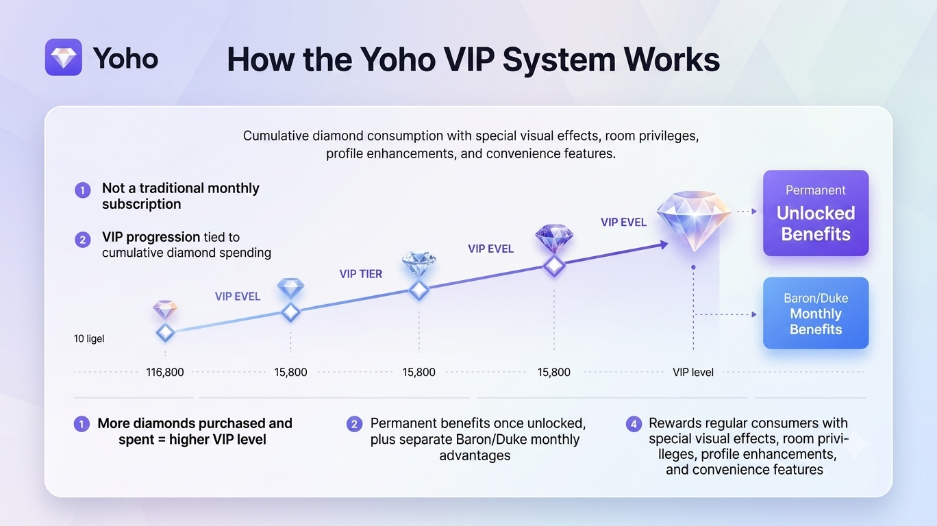 VIP System Works