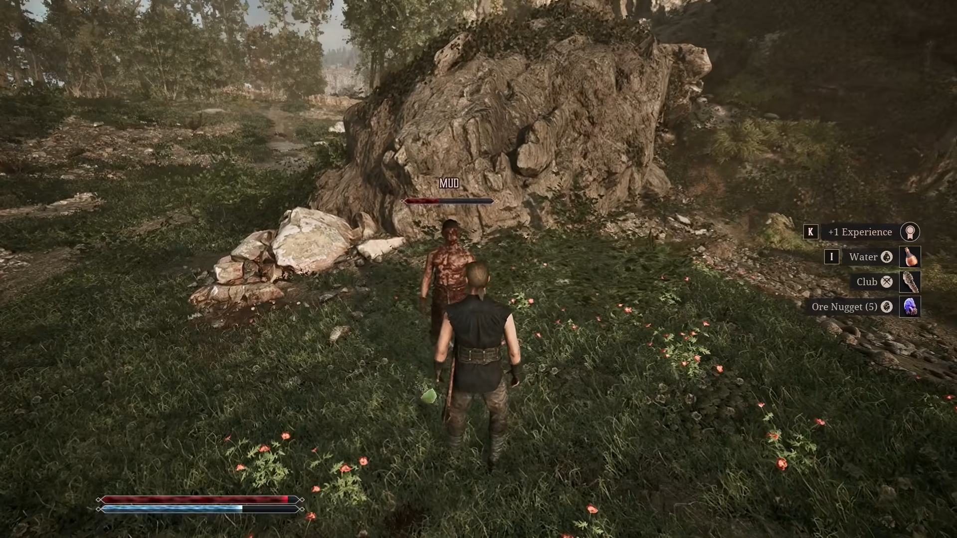 How To Get Rid of Mud