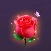 chamet gift rose
