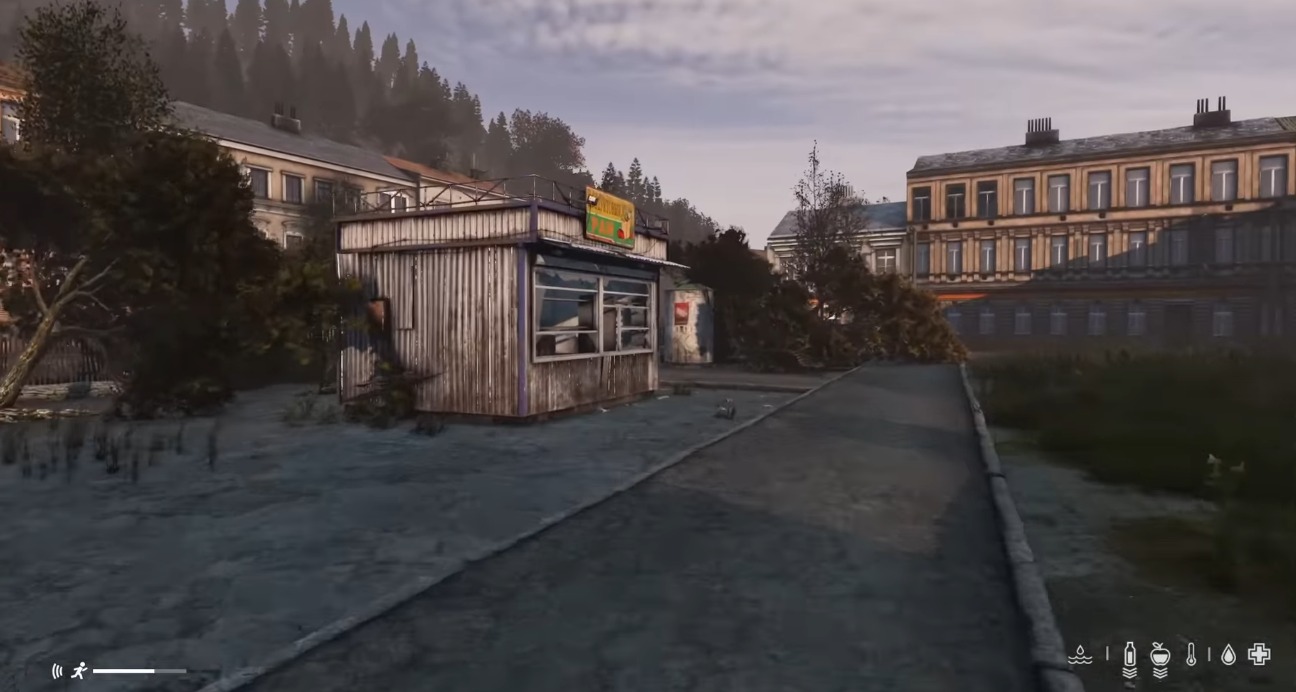 DayZ