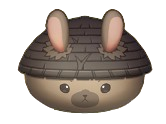 Ronin Bunnie