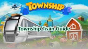 Township Train Guide