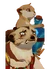 Hero_Smokey_Meerky