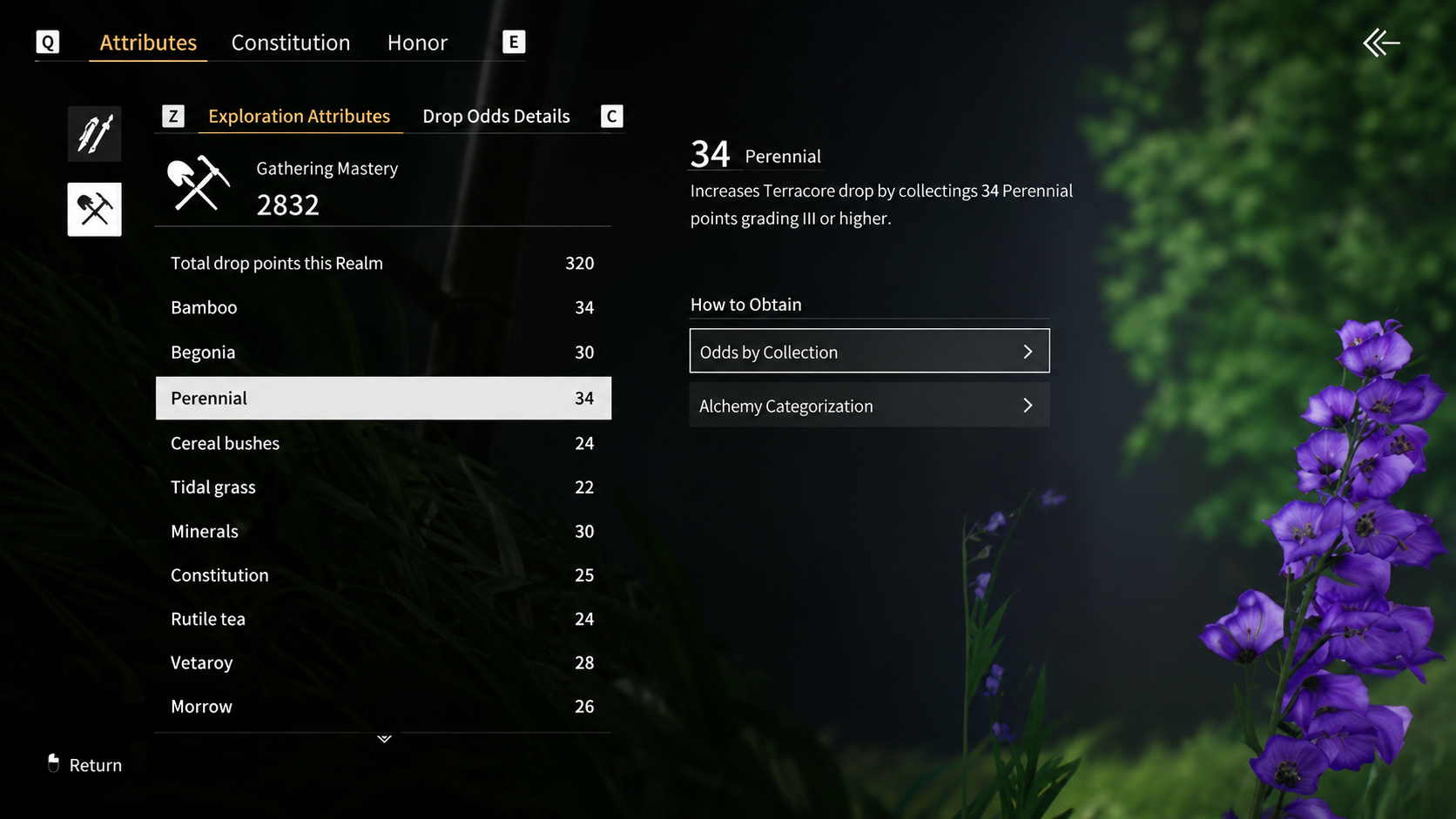 Exploration Attributes
