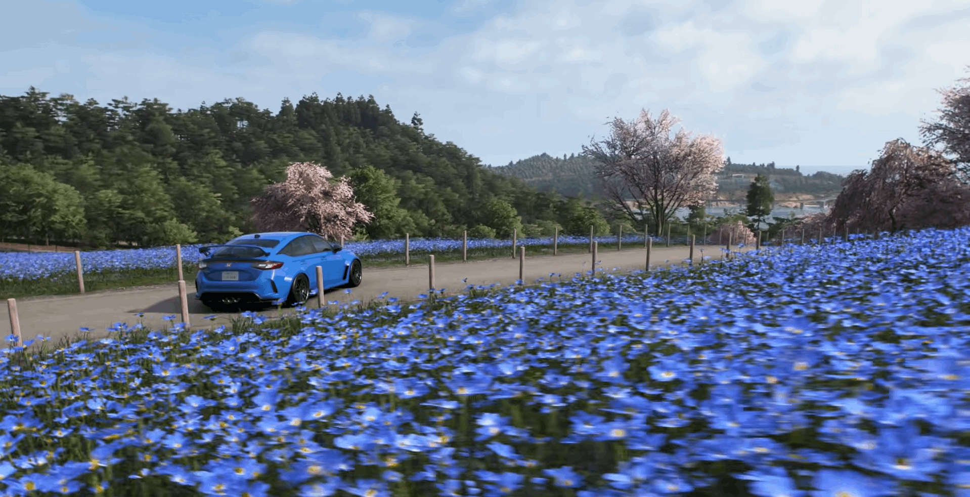 A Blue Car in a field of Blue flowers