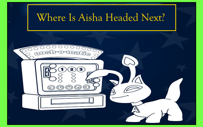Aisha Sidekick