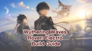 Wuthering Waves Rover:Electro Build Guide