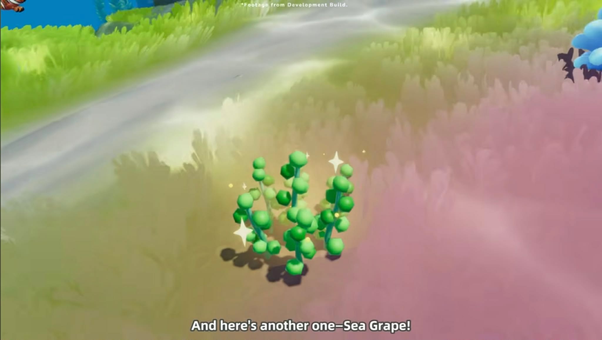 Heartopia Seagrape