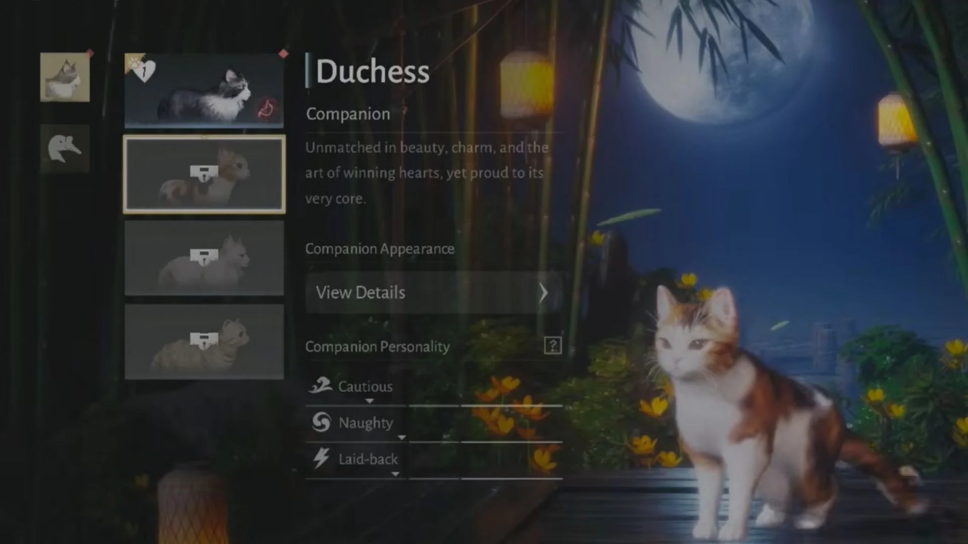 Starter Cats Available