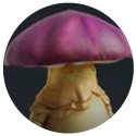 once human growshroom
