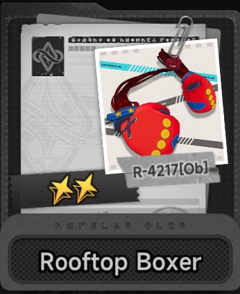 Rooftop Boxer
