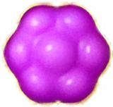 Purple Candy