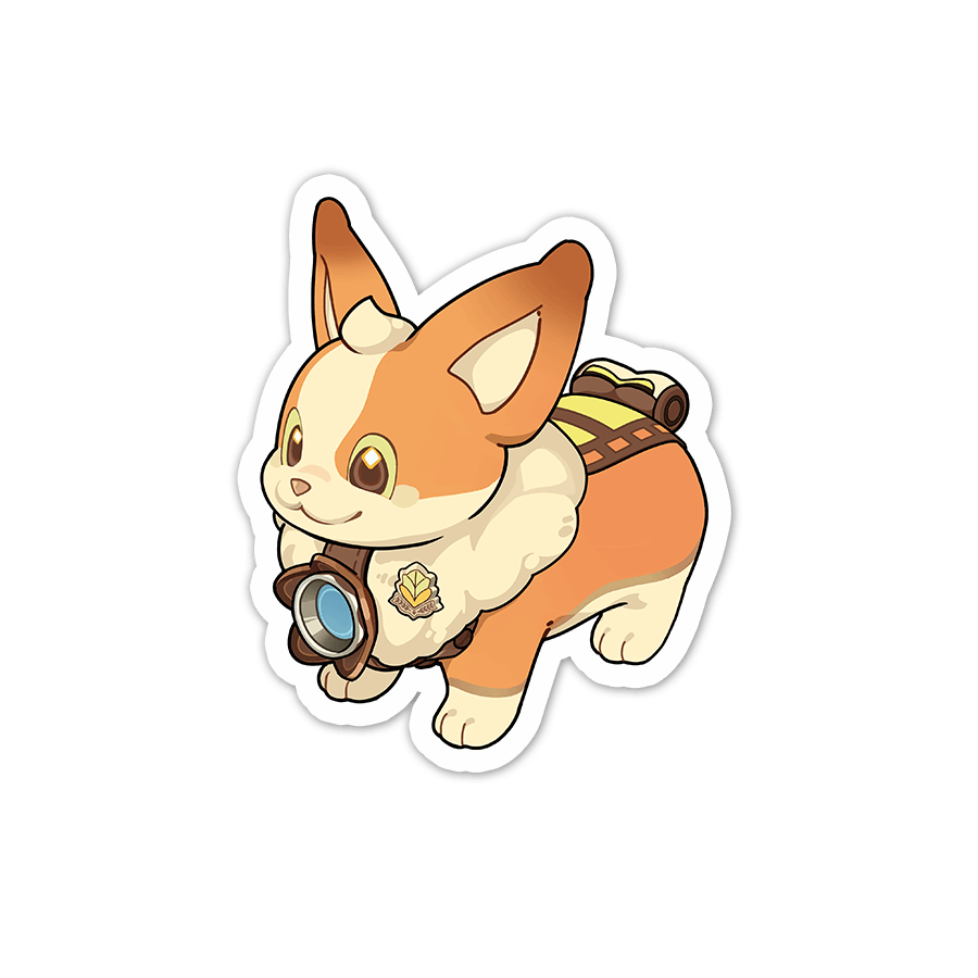 Camcorgi