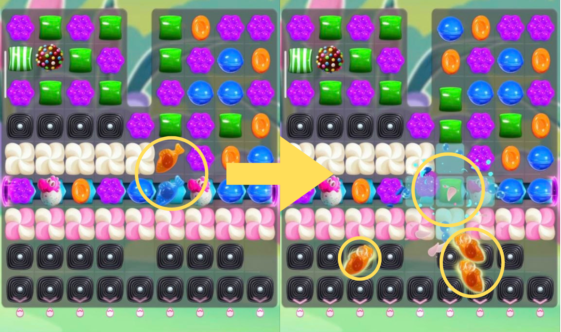 Candy Crush Saga Combo: Jelly Fish + Jelly Fish