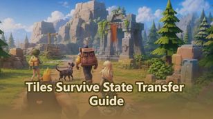 Tiles Survive State Transfer Guide：Transfer Requirements
