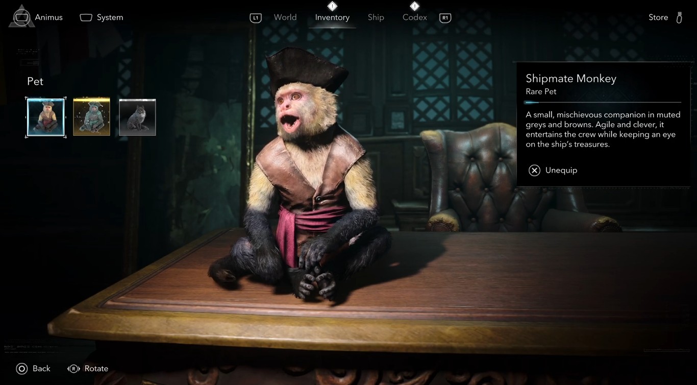 Shipmate Monkey in Assassin's Creed Black Flag Resynced