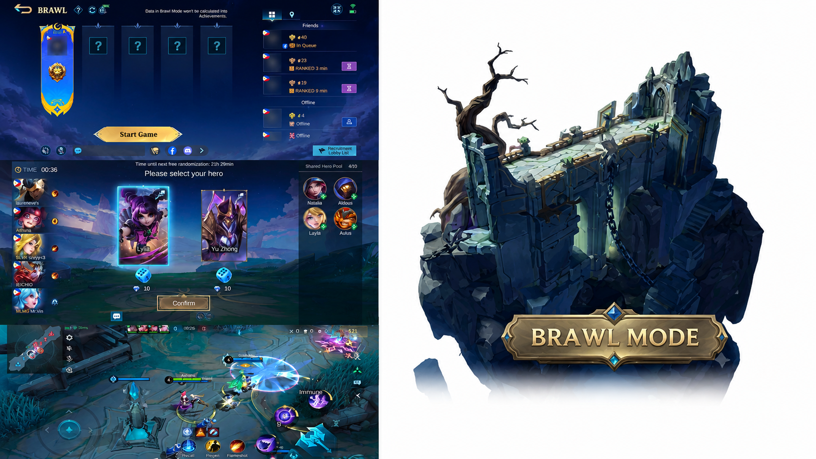 Brawl