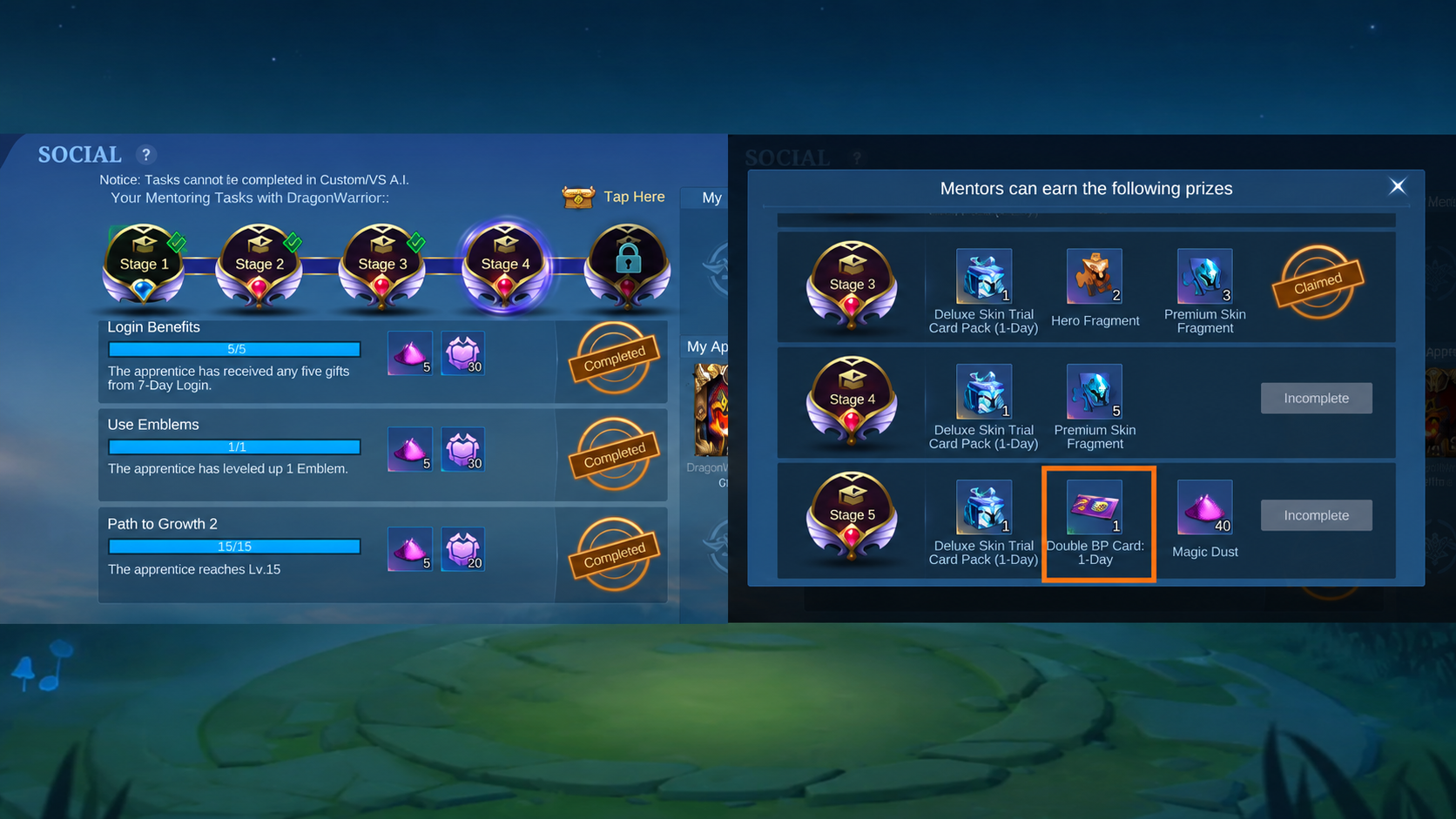 Mentor program