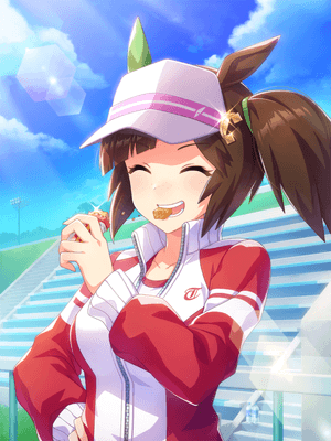 Ines Fujin (SR) Wit Support Card