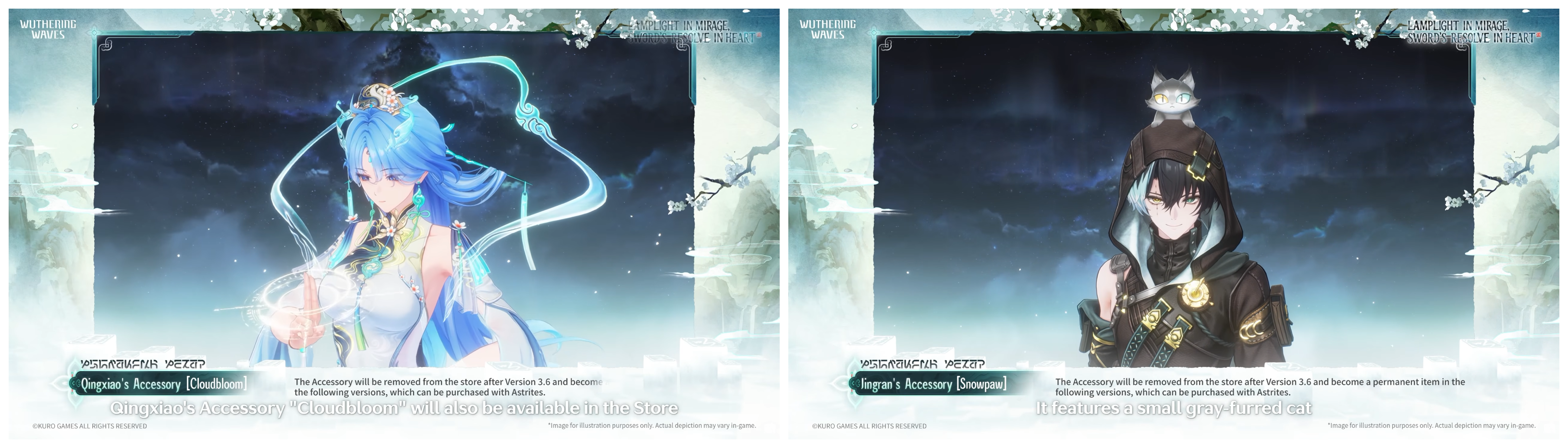 3.6 accessories image