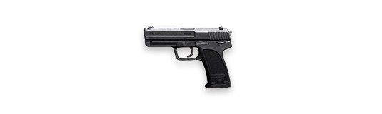 USP PISTOL