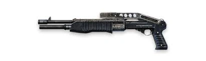 SPAS12
