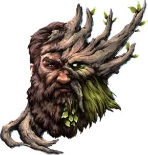 Druid