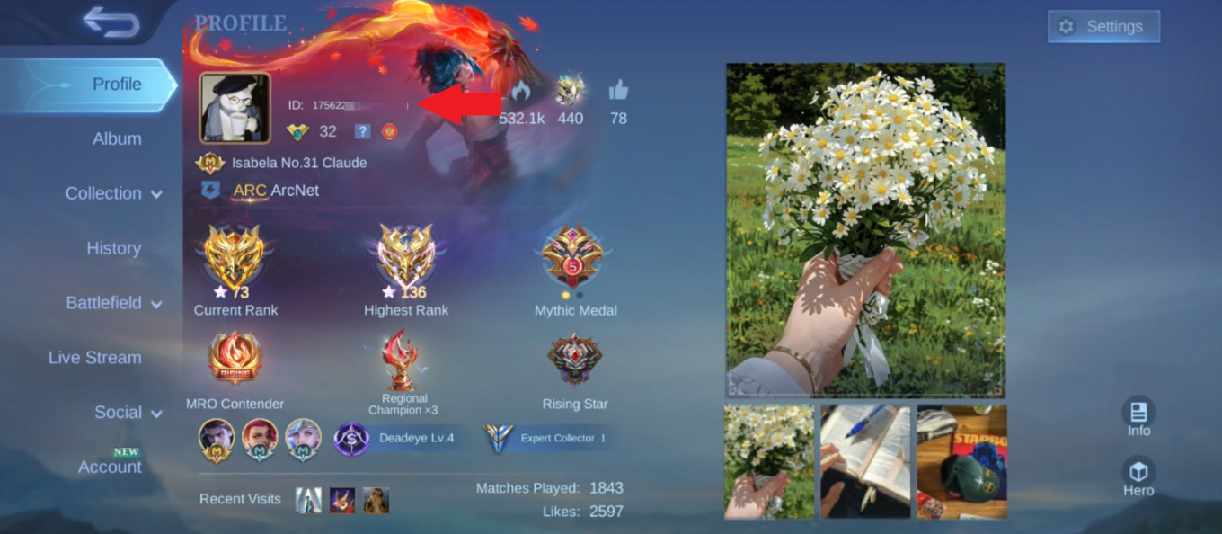 Profile where ID is seen, blurred out and arrow indication
