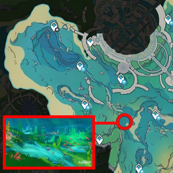 Ocean Circuit Judge image