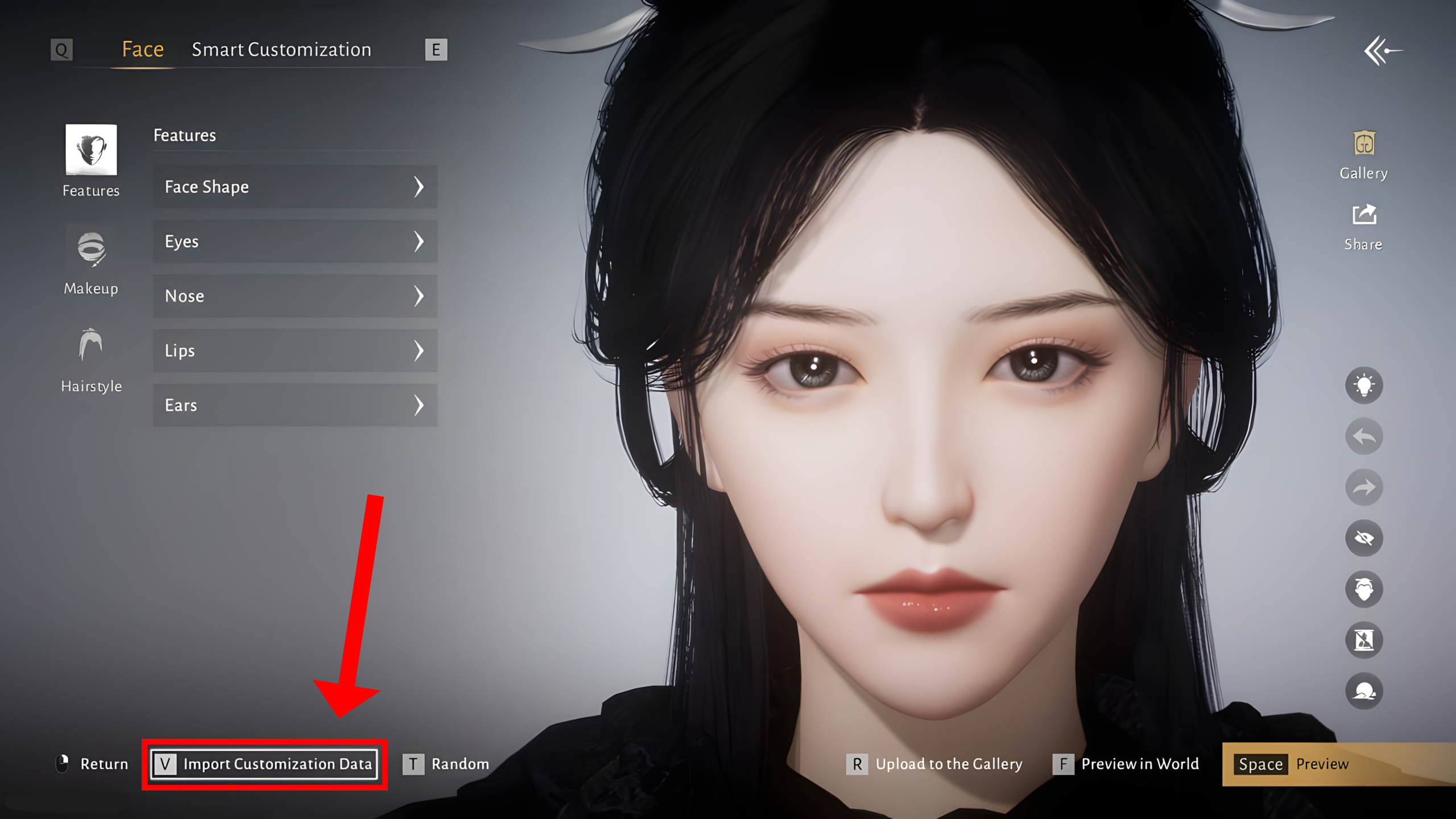 Selecting the Import Customization Data in the bottom